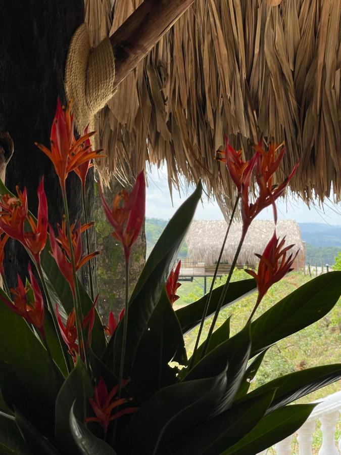 La Manola Finca Hotel Doradal エクステリア 写真