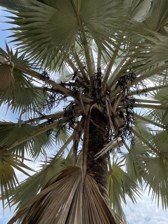 La Manola Finca Hotel Doradal エクステリア 写真